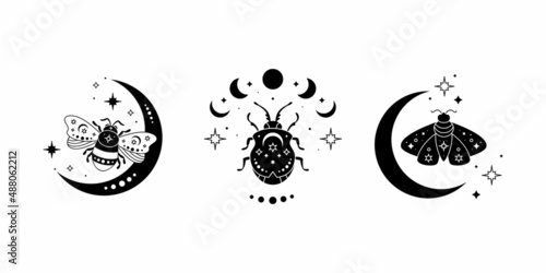 Celestial butterfly, bee and bug vector illustration set. Black silhouette of mystical moth with moon phases, magic composition. Magic insect, esoteric symbol.