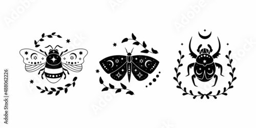 Vector illustration set of celestial butterfly, bee and bug with leaves. Black silhouette of magic insect, esoteric symbol, mystical composition.