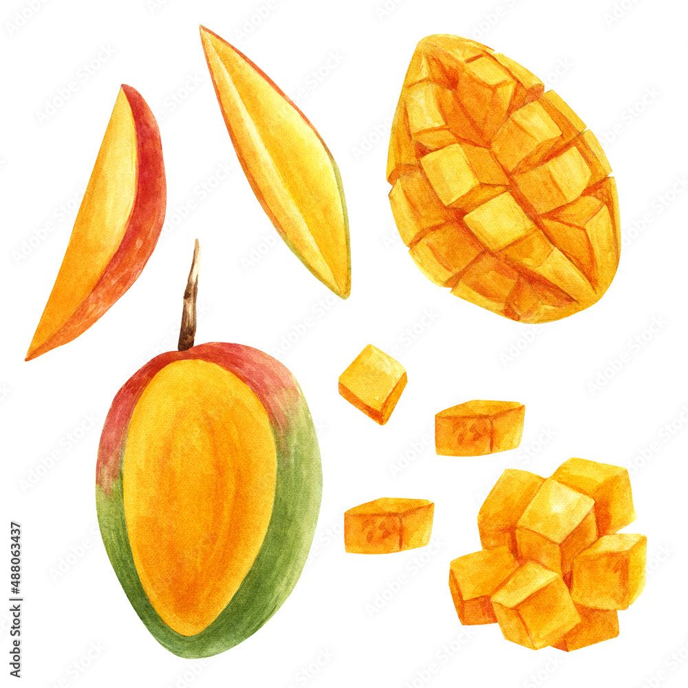 Mango clipart in watercolor Mango clipart in watercolor