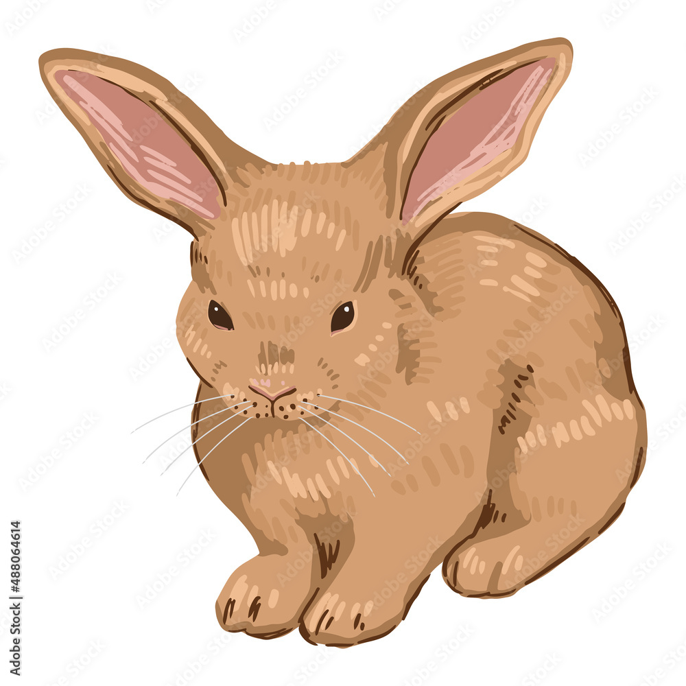 Cute baby rabbit, pretty bunny. Wild animal in cartoon style. Contemporary vector illustration. Modern clipart isolated on white background. Cute baby rabbit, pretty bunny. Wild animal in cartoon style. Contemporary vector illustration. Modern clipart isolated on white background.