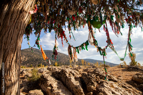 Obraz na plátně A multicolored traditional wish tree on the mountain