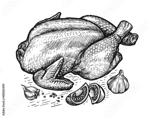 Whole chicken and ingredients. Cooking turkey meat with vegetables sketch vintage vector