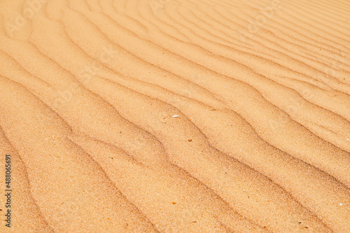 Natural sandstone texture background, sand on the beach as background. Wavy sand background for summer designs or backdrops.