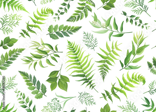 Seamless pattern with green leaves, foliage branches. Forest herbs on white background. Floral wallpaper. Vector illustration.