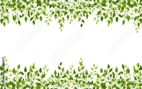 Foliage frame birch spring nature leafy edge green flat style. Eco natural fresh sprout tender background invitation wedding label product promo board. Summer card simple light on white