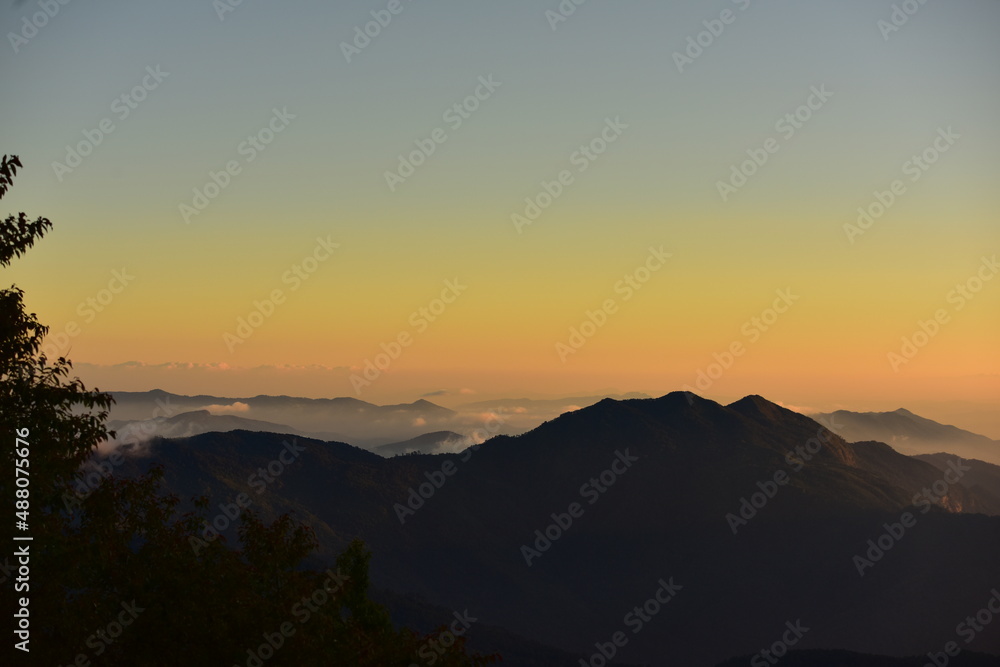 tropical forest landscape scene for using in concept of environmental ecology and sustainable energy or Earth day tropical forest landscape scene for using in concept of environmental ecology and sustainable energy or Earth day
