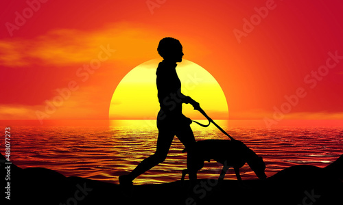 Dog walker man Silhouette Sunset Beach Sunrise landscape illustration