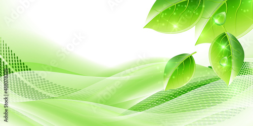 新緑　葉　春　背景