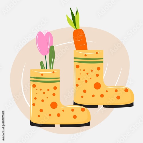 Rubber boots with a flower and a carrot. Cute rubber boots.