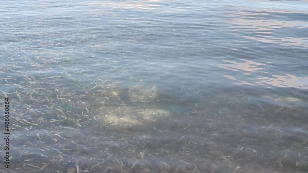 Movement of superficial water in gloaming Movement of superficial water in gloaming