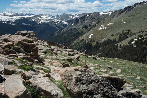Rugged boulders and mountains in Rocky Mountain National Park with a few wildflowers