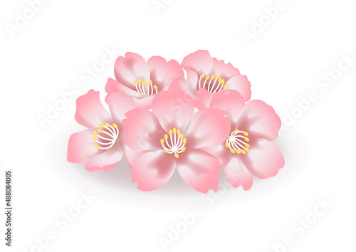 ほどよくリアルな桜の花のベクター素材