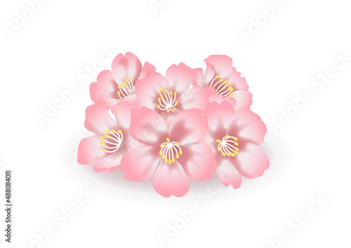 ほどよくリアルな桜の花のベクター素材