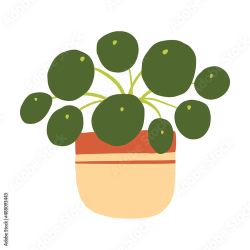 Indoor potted plant chinese money illustration