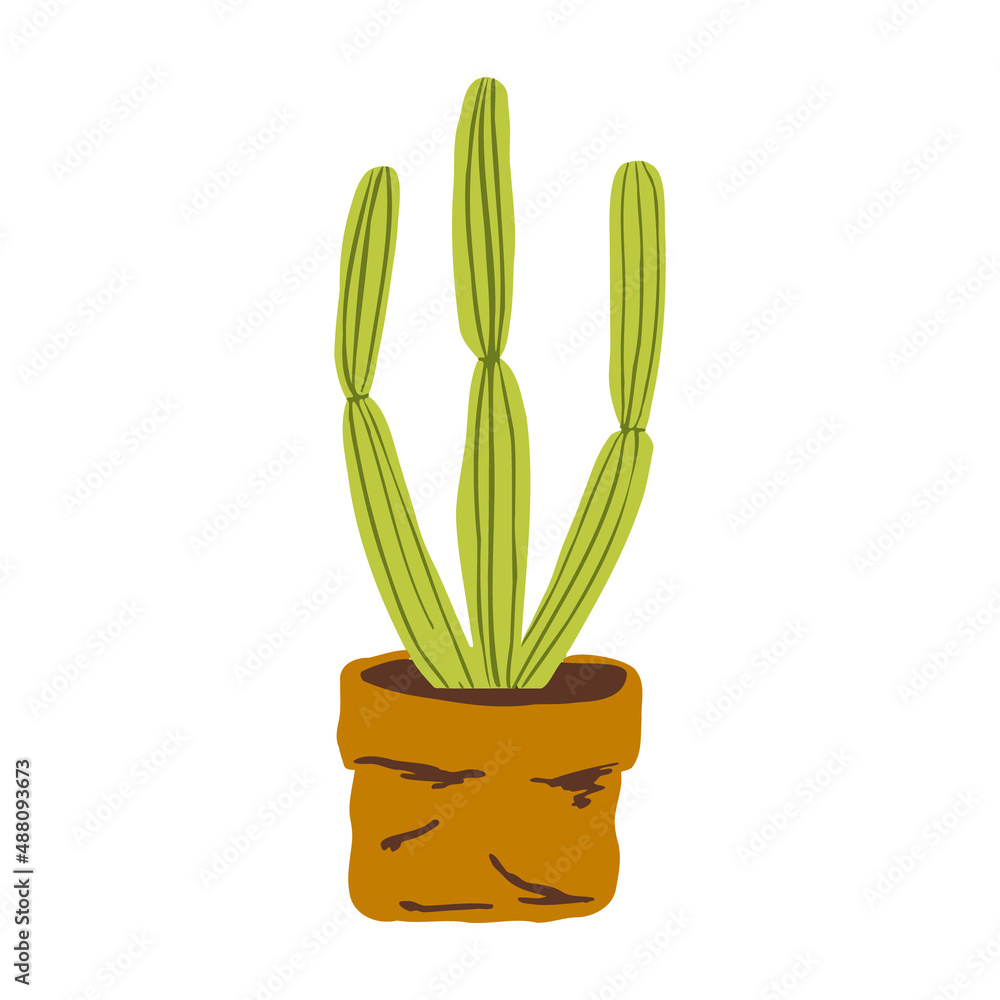 Indoor potted plant organ pipe cactus illustration