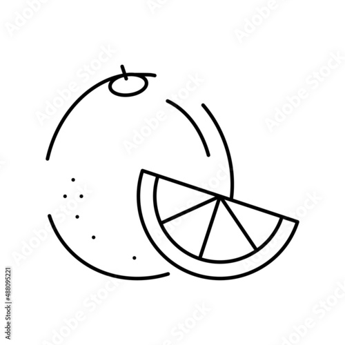 orange aromatherapy line icon vector isolated illustration