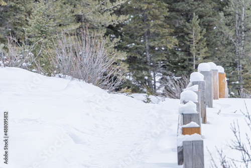 Wallpaper Mural Fence post in snow covered forest in Banff National Park Torontodigital.ca