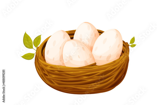 Bird nest from sticks with eggs decorated with leaves in cartoon style isolated on white background. Spring clip art, nestling. new life.
