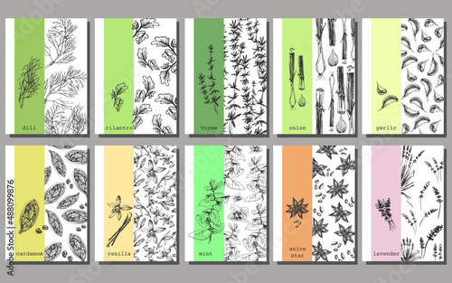 366_set of spices, label_set of ten labels for spices, template, dill, cilantro, cumin, onion, garlic, cardamom, vanilla, mint, cinnamon, lavender sketch, graphics, for meat, for baking,