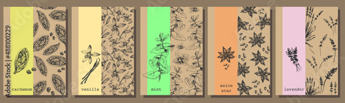 365_set of spices, label_cardamom, mint, vanilla, cinnamon, lavender, spice maker label set, aromas, herbs, plant graphic illustrationcraft paper