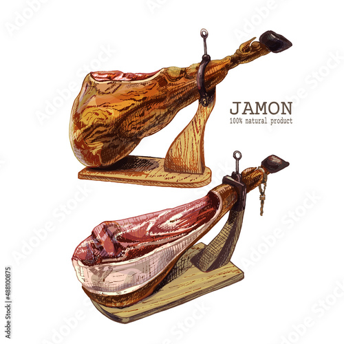 361_jamon_Spanish jamon, traditional jerky, pork, ham sketch, wooden chopping stand, colorful, vintage style, farm meat product, Spanish jamon, Iberico, Serrano, ham, set