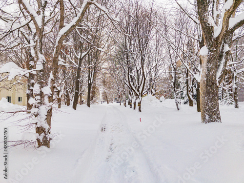 View of the Hokkaido University in snow, Sapporo City , Hokkaido, Japan. © Takashi Images