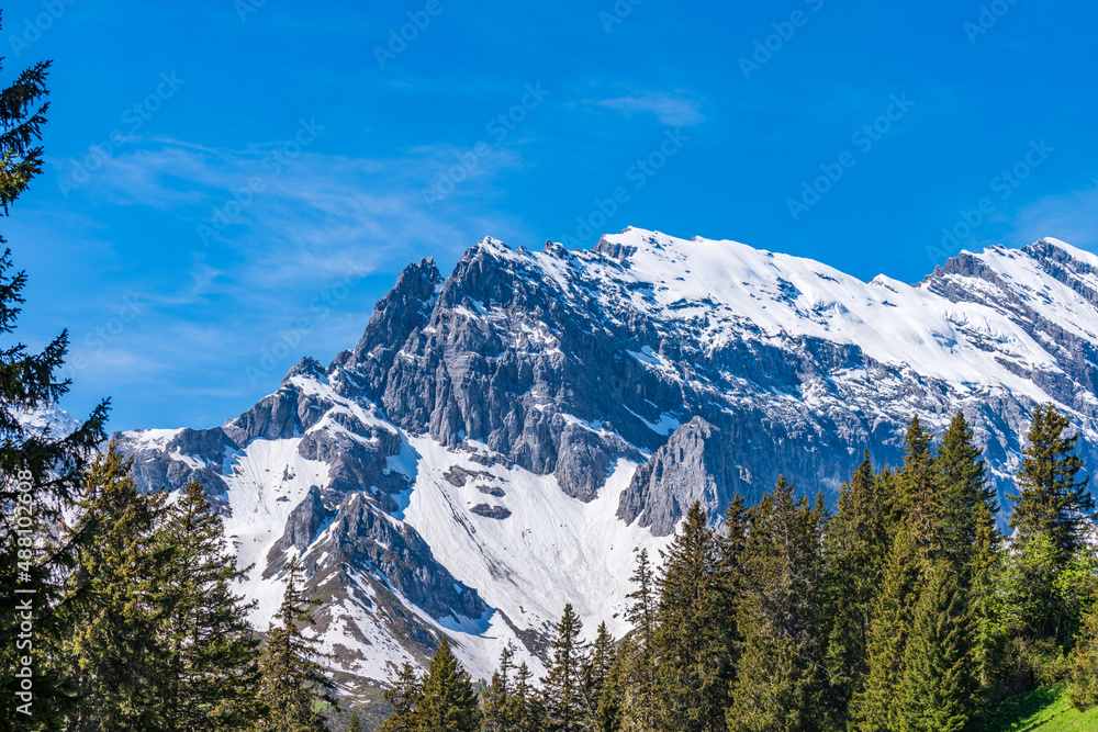 The Swiss Alps at Murren, Switzerland. Jungfrau Region. Snow peaks.