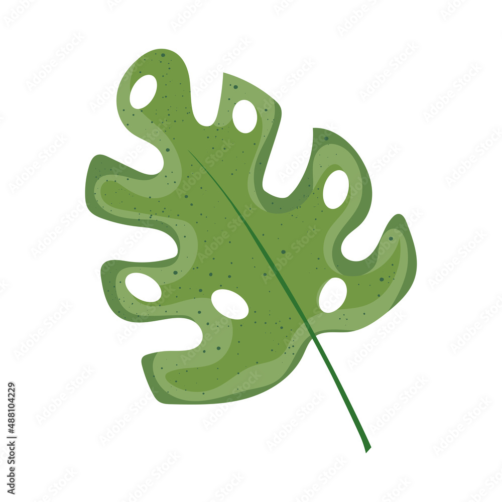 tropical leaf branch tropical leaf branch