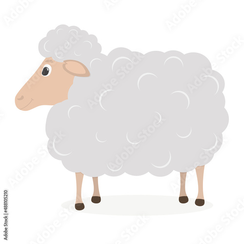 Cute sheep. Vector illustration in cartoon style. Children's room decoration, print design for kids clothing. Greeting card design for girl, for boy. Drawn sheep. Whine background. Gray, white sheep.