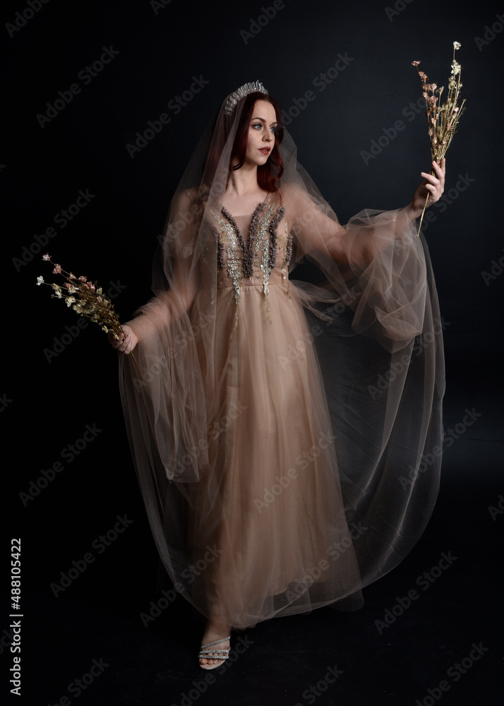  Full length portrait of pretty female model with red hair wearing glamorous fantasy tulle gown and crown.  Posing with a moody dark background.