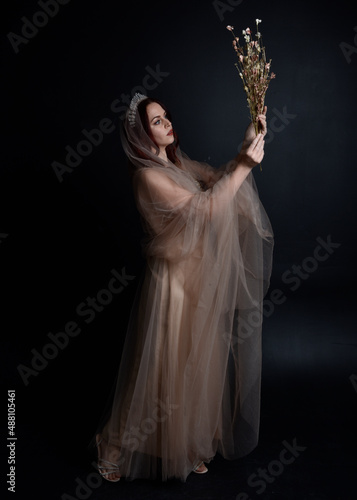  Full length portrait of pretty female model with red hair wearing glamorous fantasy tulle gown and crown. Posing with a moody dark background.