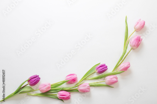 pink tulips on white background #488112657