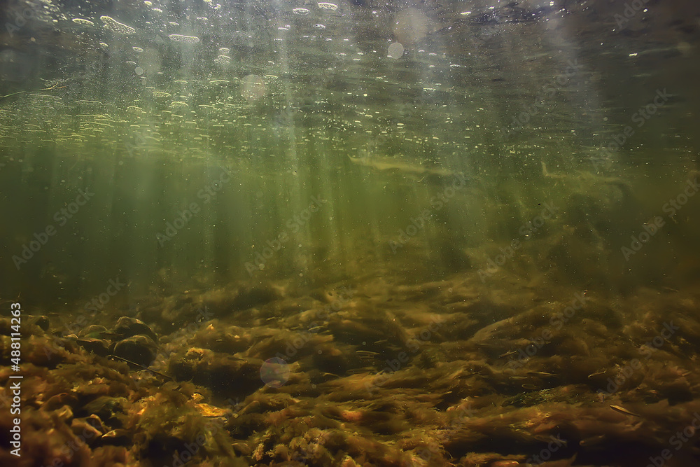sun rays under water landscape, seascape fresh water river diving sun rays under water landscape, seascape fresh water river diving