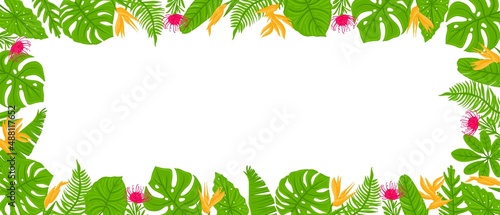 Panoramic Frame from tropical leaves, palms, plants, flowers, monstera. Botanical exotic plants elements. Vector illustration isolated on white background