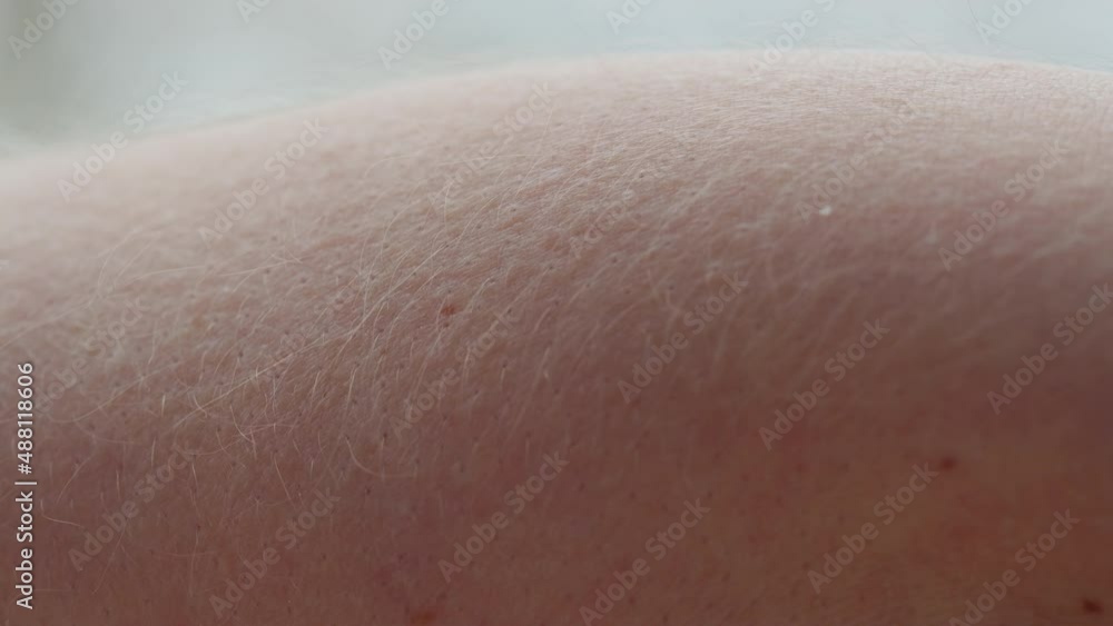 Hand skin texture close-up. Arm surface macro shooting. Body and healthcare, hygiene and medicine concept. Hand skin texture close-up. Arm surface macro shooting. Body and healthcare, hygiene and medicine concept.