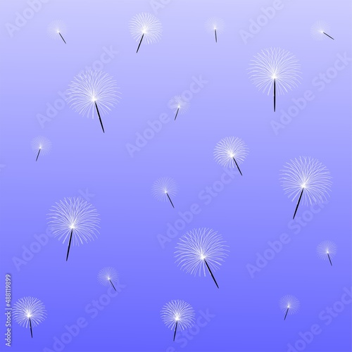 dry white flowers flying as background
