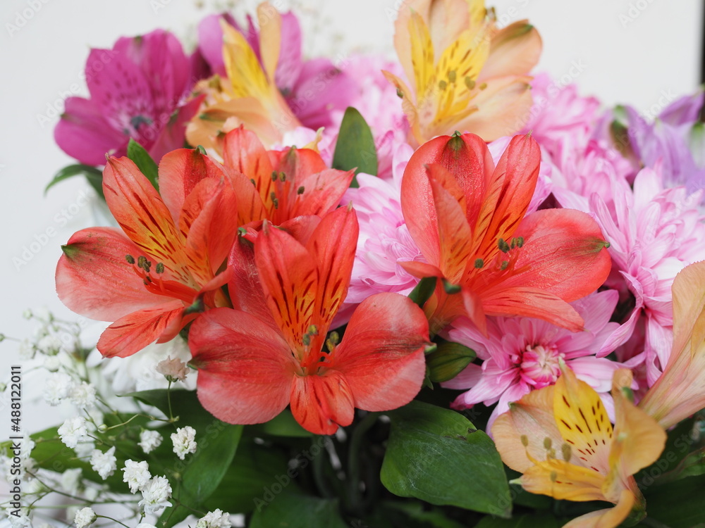 Close-up of a beautiful bouquet of assorted flowers of gerbera, hydrangea, rose, alstroemeria. floral background Close-up of a beautiful bouquet of assorted flowers of gerbera, hydrangea, rose, alstroemeria. floral background