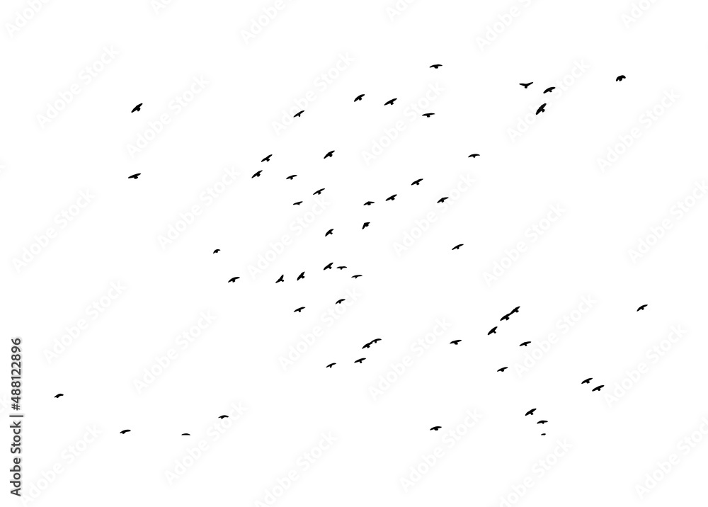 A flock of flying birds. Free birds. Vector illustration A flock of flying birds. Free birds. Vector illustration