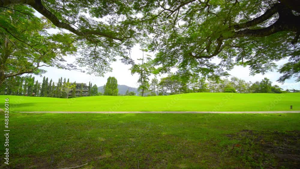 Park and Outdoor Video public park. Panoramic view of big tree and green meadow park in morning time and beautiful nature sun light, 4K UHD. Video Clip. Park and Outdoor Video public park. Panoramic view of big tree and green meadow park in morning time and beautiful nature sun light, 4K UHD. Video Clip.