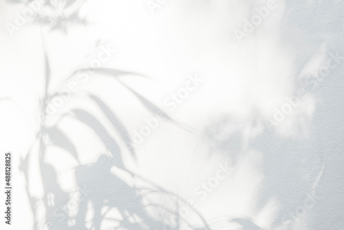 Shadow and sunshine of leaves reflection. Jungle gray darkness shade and lighting on concrete wall for wallpaper  shadows overlay effect  mockup design