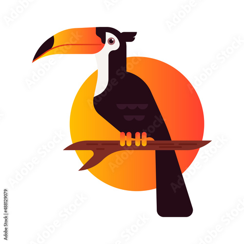 toucan illustration vector