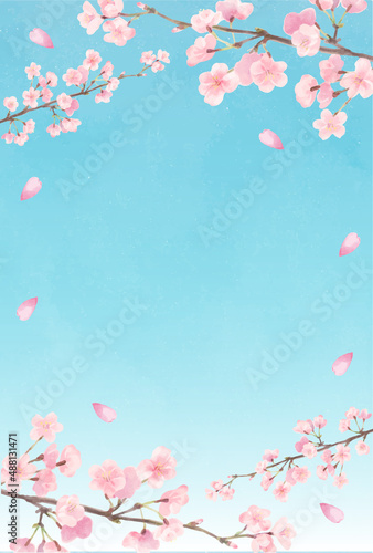 水彩風の優しい色合い空と桜