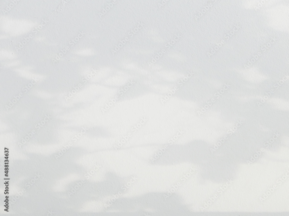 Fototapeta premium The shadow of the sun shining through the wood