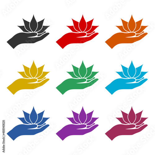 Lotus in hand icon or logo  color set
