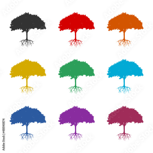 Tree root icon or logo, color set