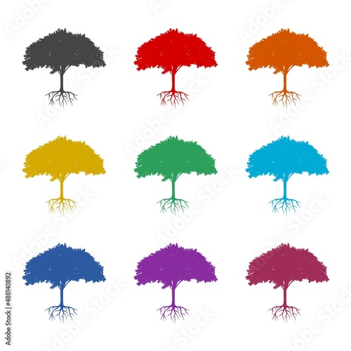 Tree root icon or logo  color set