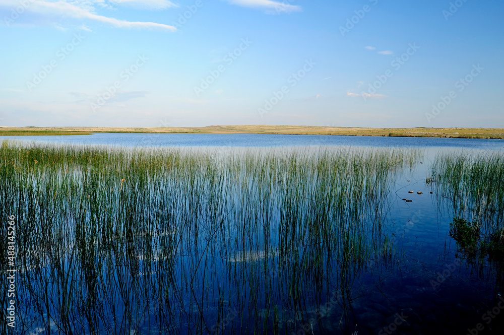 Wetland / Velo Blato Lake on the Croatian Island of Pag // Velo Blato - See auf der Kroatischen Insel Pag