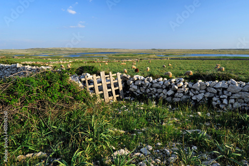 Sheeps at Velo Blato Lake on the Croatian Island of Pag //  Schafheerde am Velo Blato See auf der Kroatischen Insel Pag photo