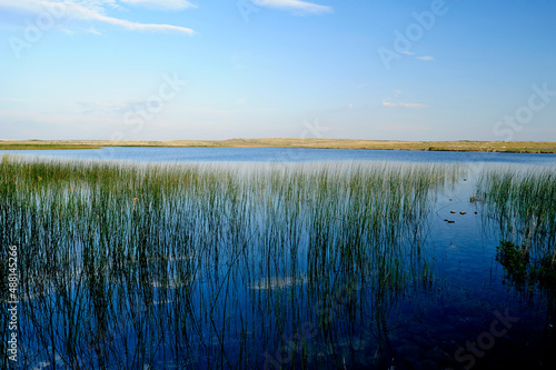 Wetland / Velo Blato Lake on the Croatian Island of Pag // Velo Blato - See auf der Kroatischen Insel Pag