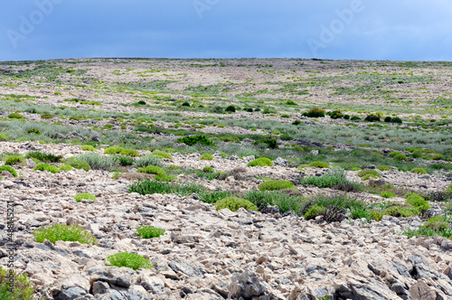 Karst landscape on Pag (Croatia) // Karst-Landschaft auf Pag (Kroatien)